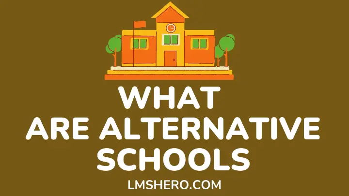 What are alternative schools