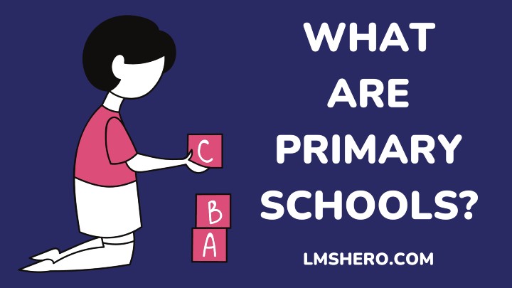 What Are Primary Schools Definitions Advantages LMS Hero