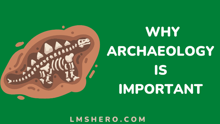 Why archaeology is important - lmshero