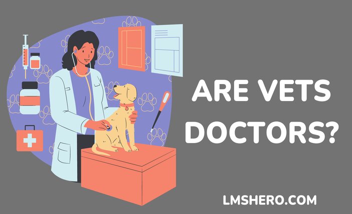 Are Vets Doctors - LMSHero