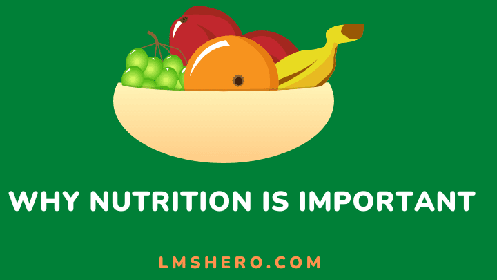 why nutrition is important - lmshero