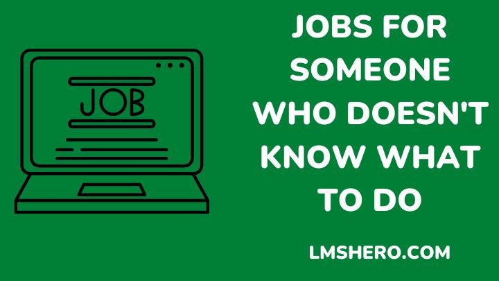 job for someone who doesn't know what to do - lmshero