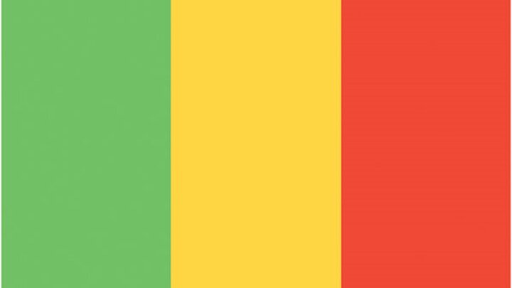 Mali green and yellow flag
