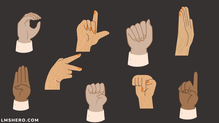 Sign Languages - LMSHero