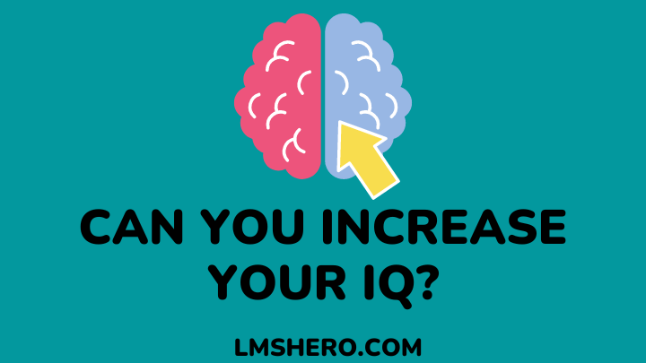 can you increase your iq - lmshero