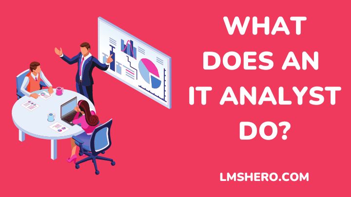 what does an it analyst do - lmshero