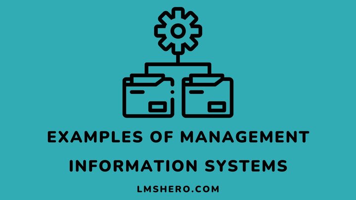 Examples-of-management-information-systems-Lmshero