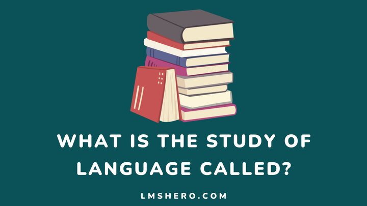 Study-of-language-is-called-Lmshero