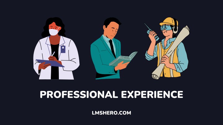 PROFESSIONAL EXPERIENCE - LMSHERO
