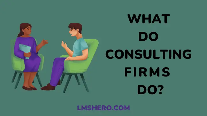 what-do-consulting-firms-do - lmshero