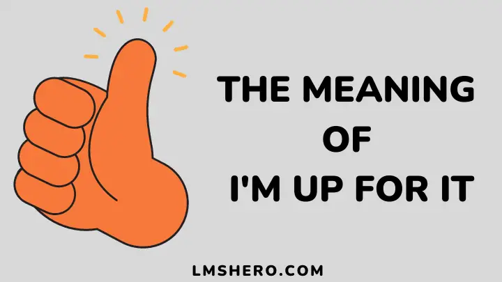 i'm up for it meaning - lmshero
