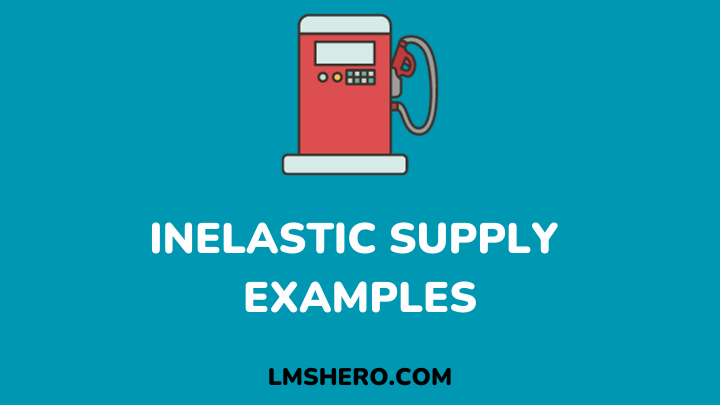 inelastic supply examples - lmshero