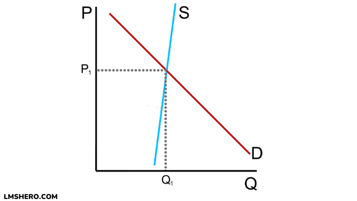 inelastic supply graph - lmshero