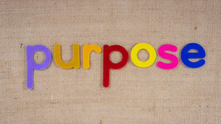 Understanding purpose  - lmshero.com
