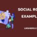 social roles examples - lmshero