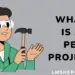 what is a pet project - lmshero