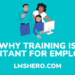 why training is important for employees - lmshero