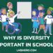 why is diversity important in schools - lmshero.com