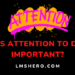 Why is attention to detail important - lmshero