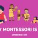 Why Montessori is bad - LMSHero