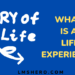 what is a life experience - lmshero
